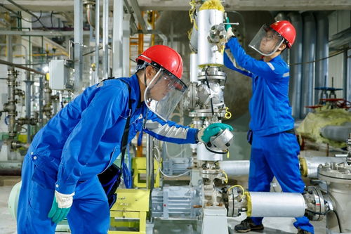 吉林石化25萬噸/年甲甲酯改造項目一次開車成功，化工產品生產再添新動力